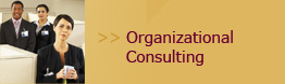 Organizational Consulting